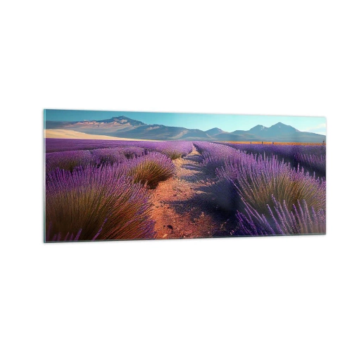 Obraz na skle - Voňavé polia - 100x40 cm