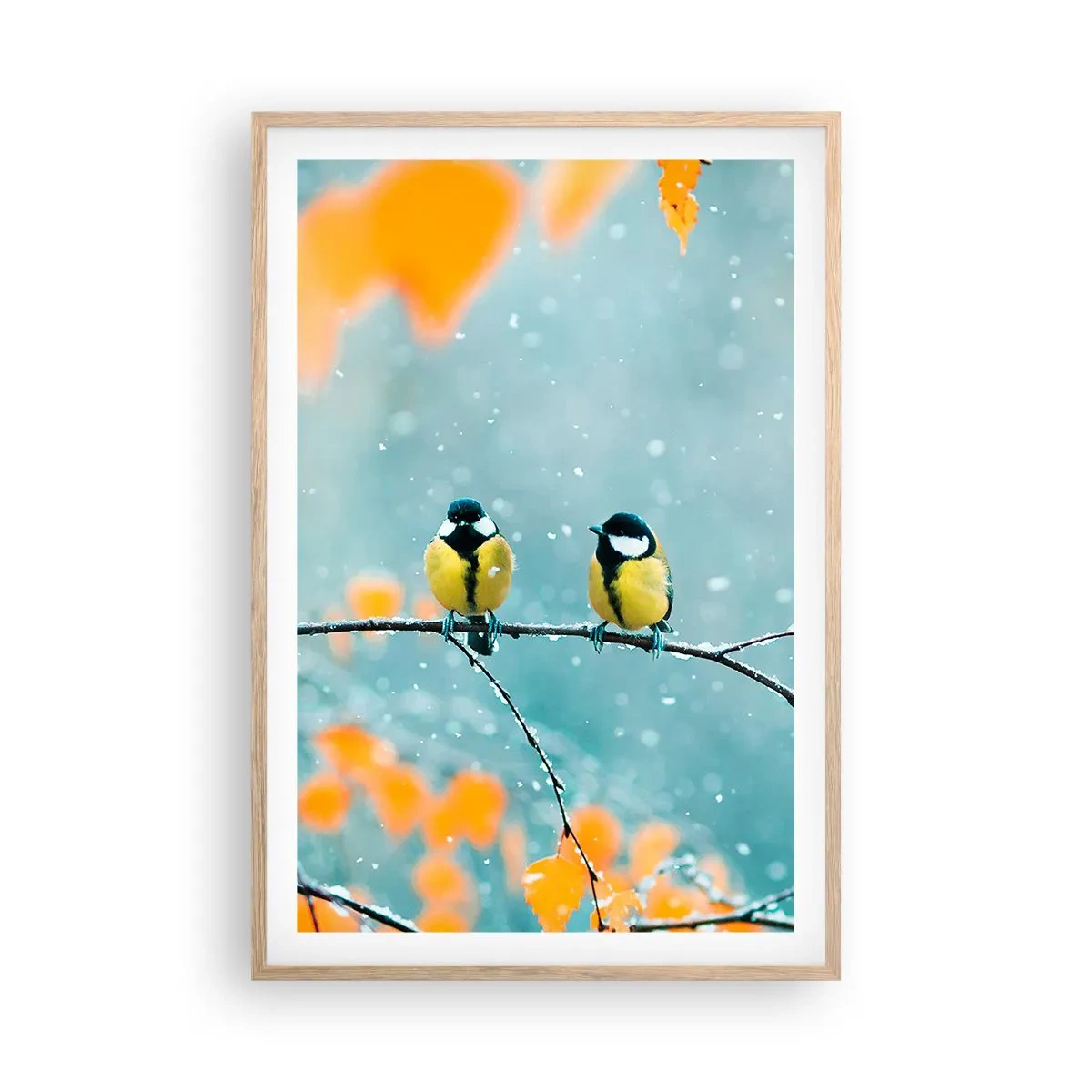 Plagát v ráme zo svetlého duba - Vtáčie klebety - 61x91 cm