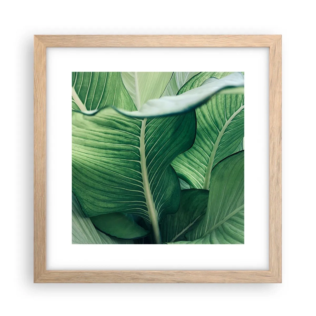 Plagát v ráme zo svetlého duba - Intenzívne zelený život - 30x30 cm