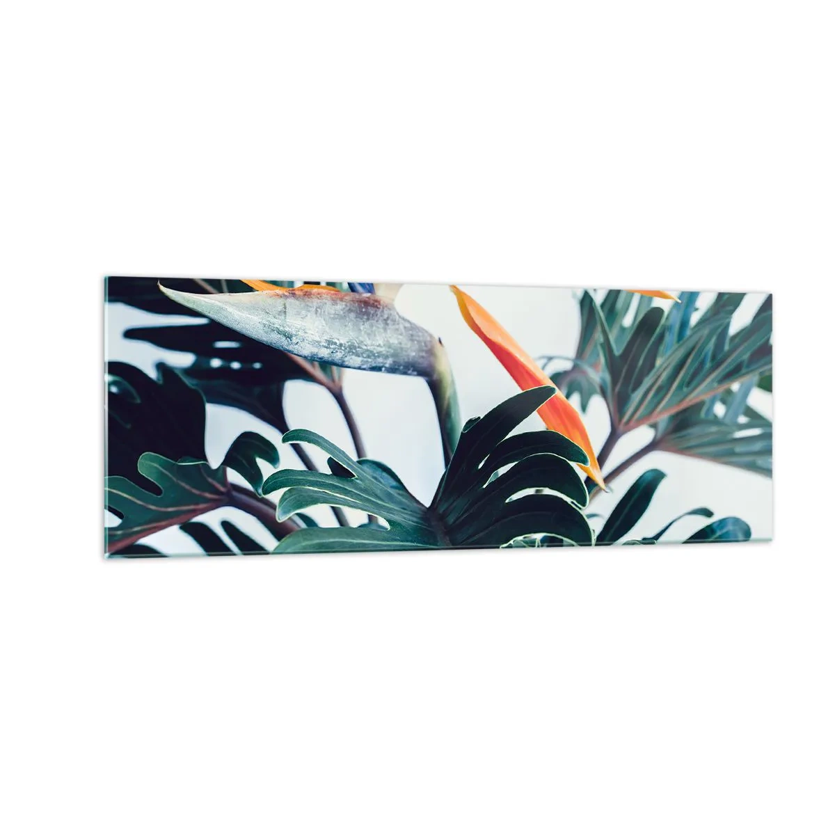 Obraz na skle - Vtáker - 140x50 cm