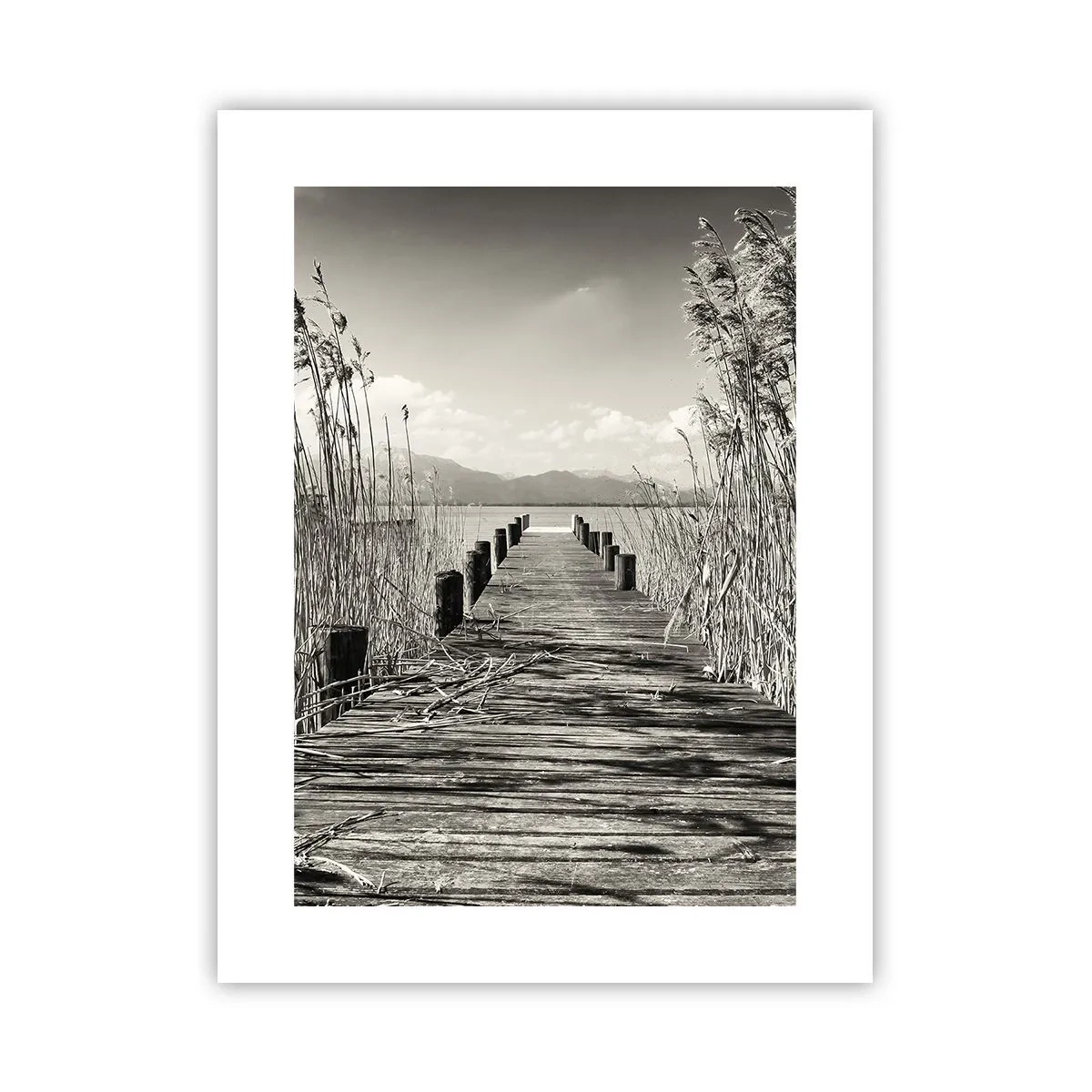 Plagát - V ústraní tráv - 30x40 cm