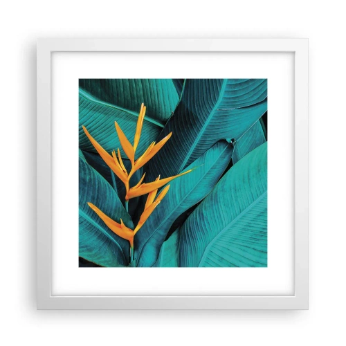Plagát v bielom ráme - Rajský kvet - 30x30 cm
