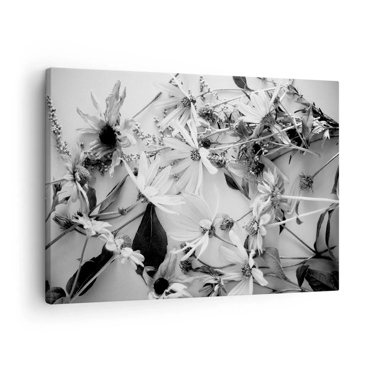 Obraz na plátne - Čiernobiele kvetinové aranžmány v jemnom umeleckom štýle - 70x50cm - Kvety bez kytice - Moderná nástenná dekorácia do obývacej izby a spálne ARTTOR