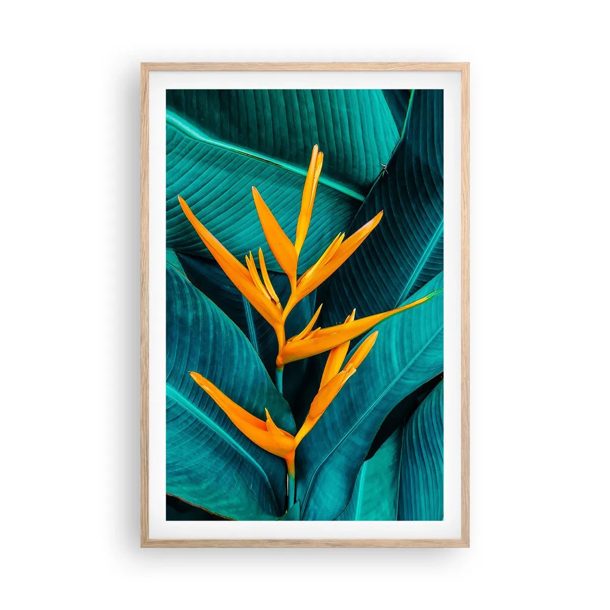 Plagát v ráme zo svetlého duba - Rajský kvet - 61x91 cm