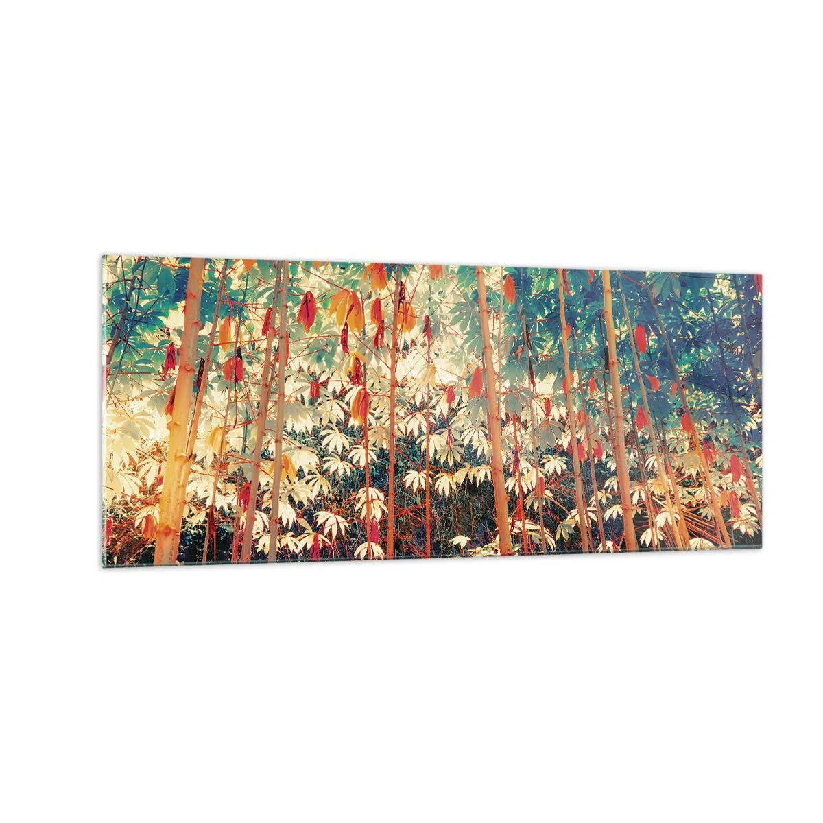 Obraz na skle - Tajný život listov - 100x40 cm