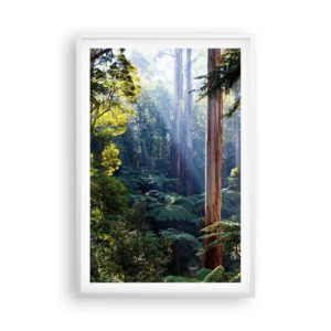Plagát v bielom ráme - Poviedka lesa - 61x91 cm
