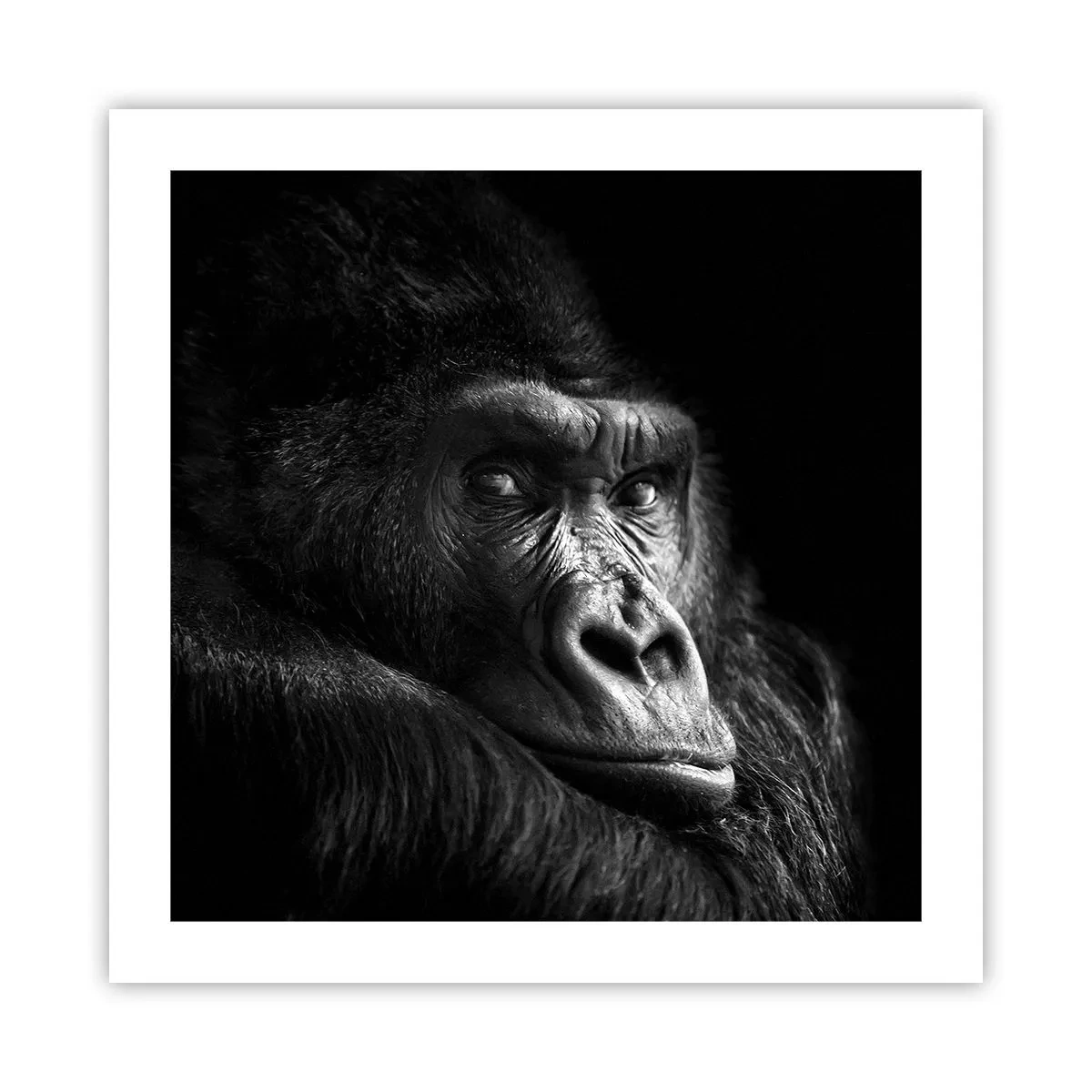 Plagát - Na čo sa tak pozeráš? - 50x50 cm