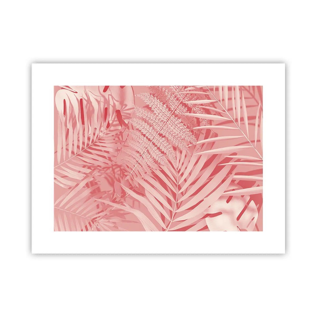 Plagát - Ružový koncept - 40x30 cm