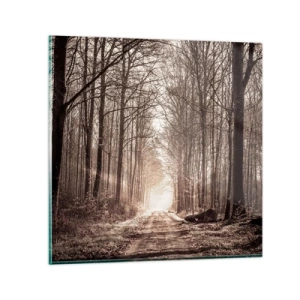 Obraz na skle - Lesná katedrála - 60x60 cm