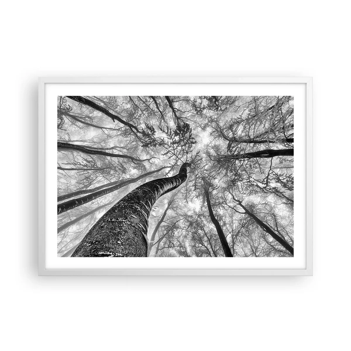 Plagát v bielom ráme - Závod ku svetlu - 70x50 cm