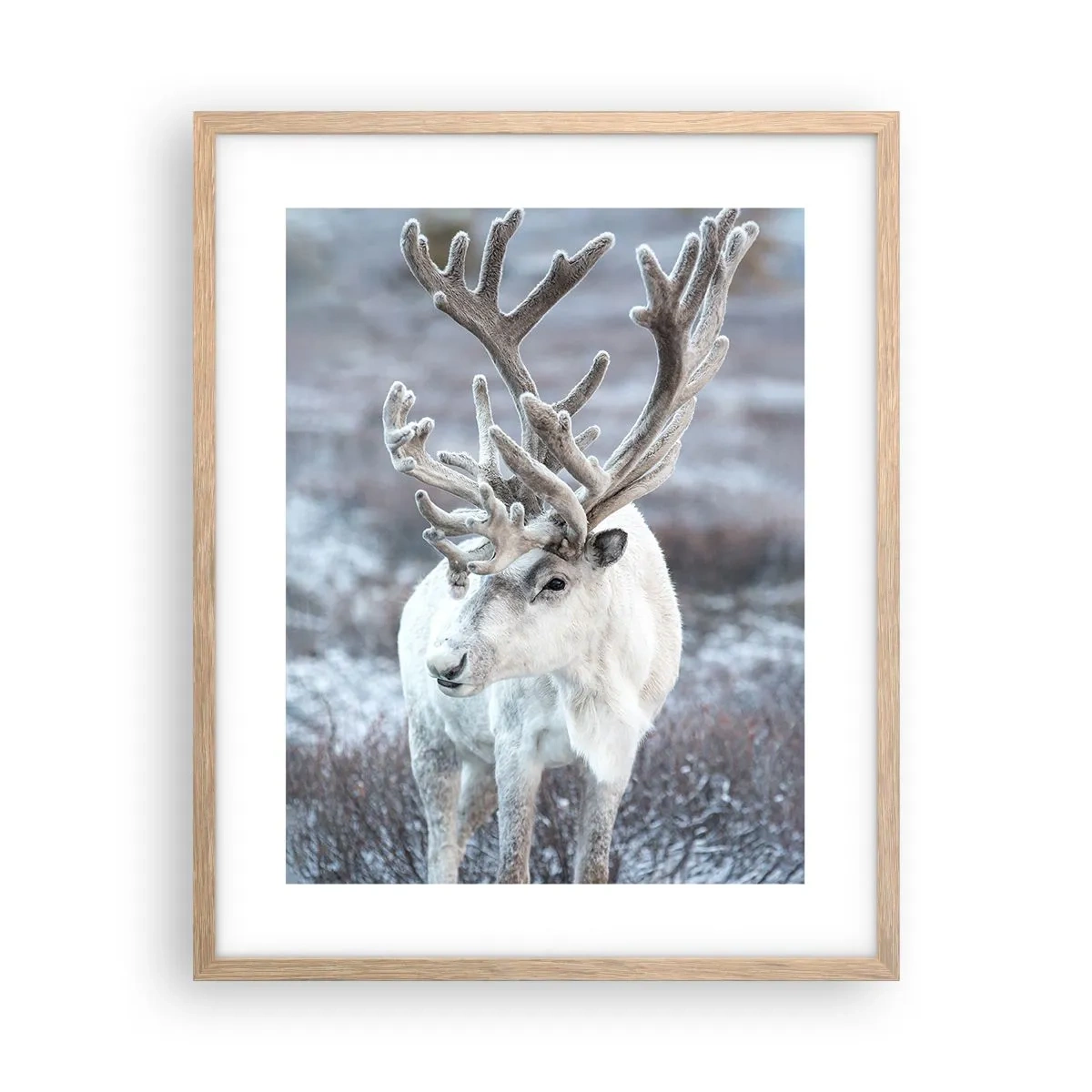 Plagát v ráme zo svetlého duba - Slnečný portrét - 40x50 cm