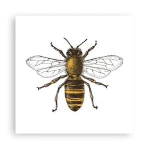 Plagát - Krásna a dobrá - 40x40 cm