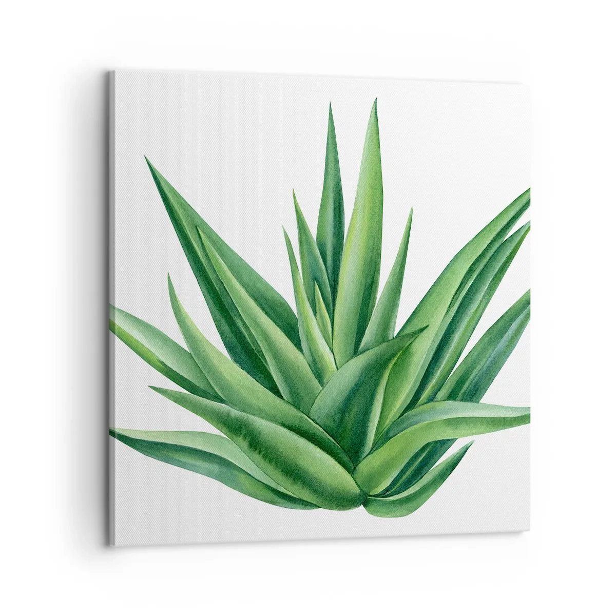 Obraz na plátne - Zelená – sila – život - 60x60 cm