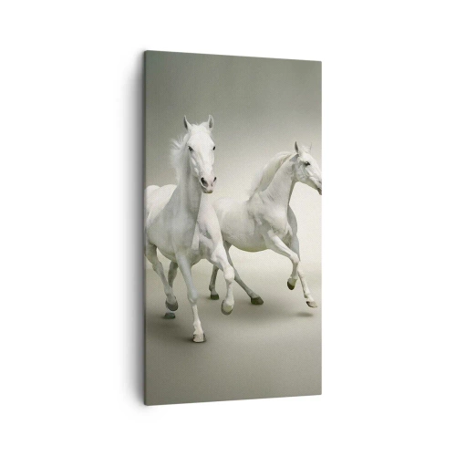 Obraz na plátne - White power! - 45x80 cm
