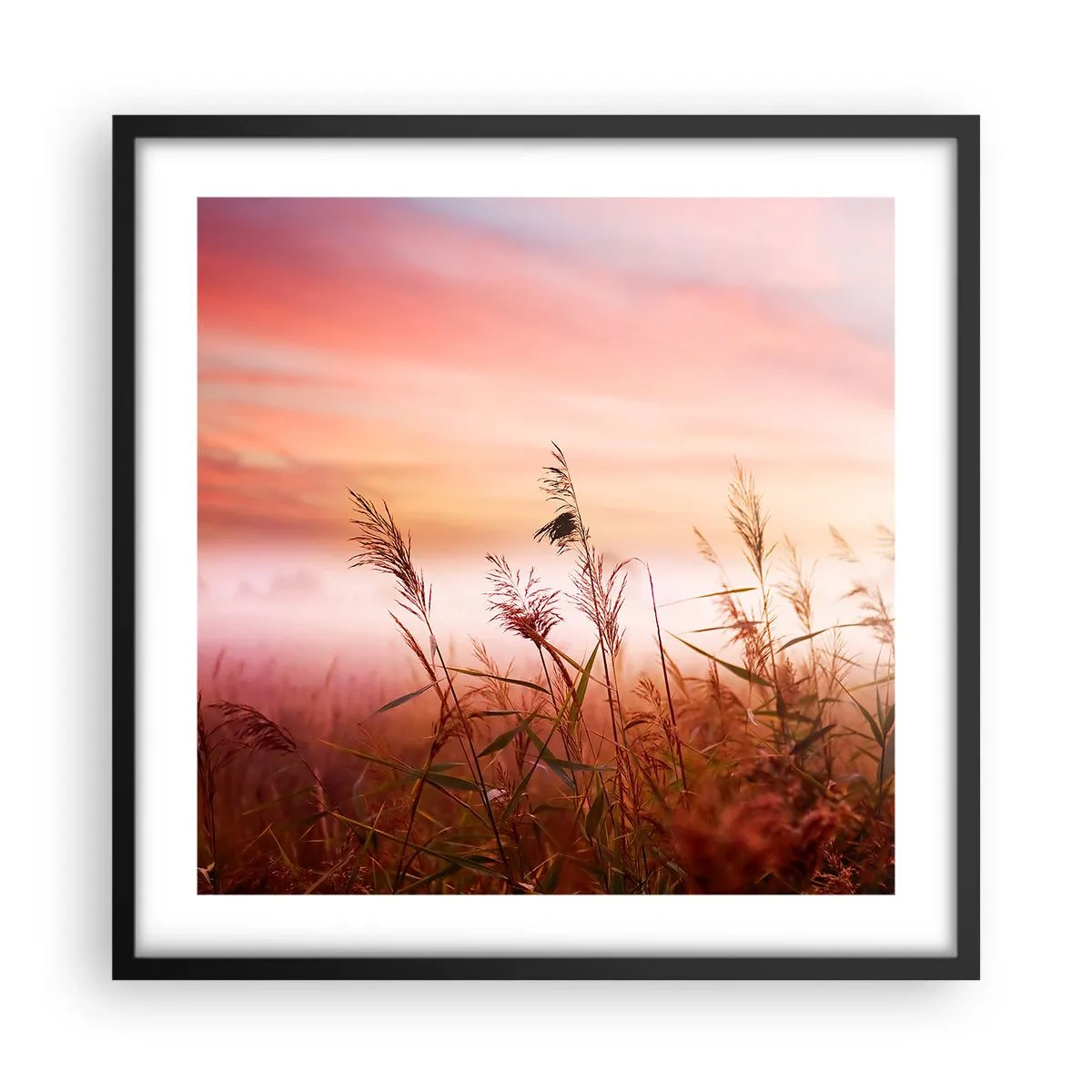 Plagát v čiernom ráme - Draci, púpavy a vietor - 50x50 cm