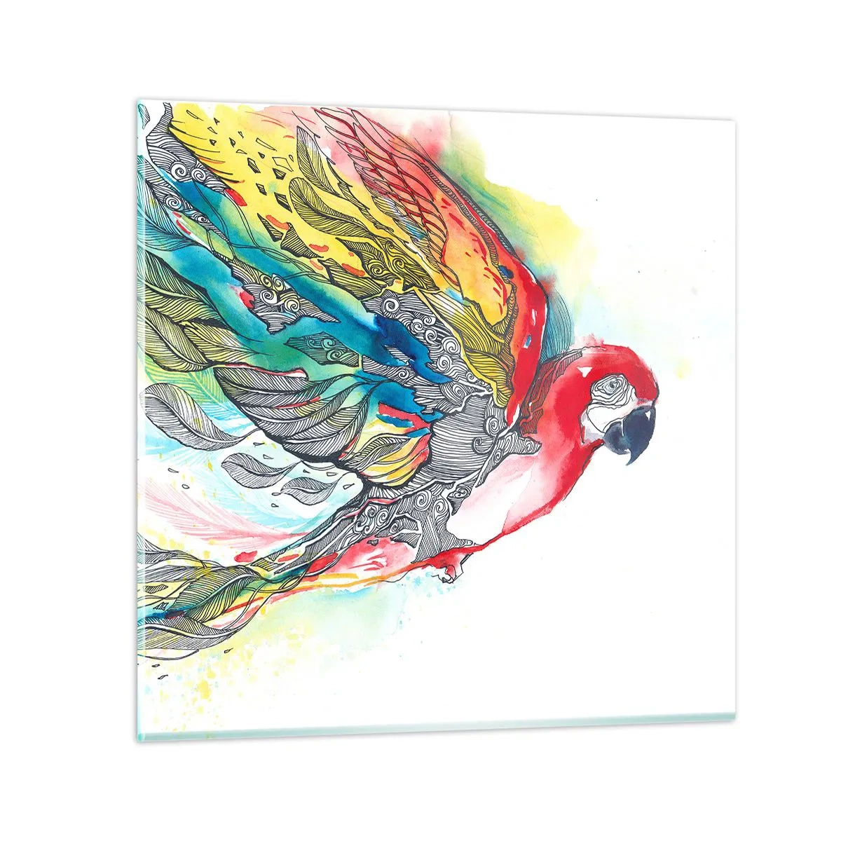 Obraz na skle - Ži farebne - 70x70 cm