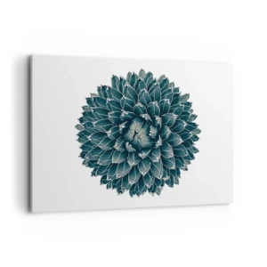 Obraz na plátne - Hviezda púšte - 100x70 cm