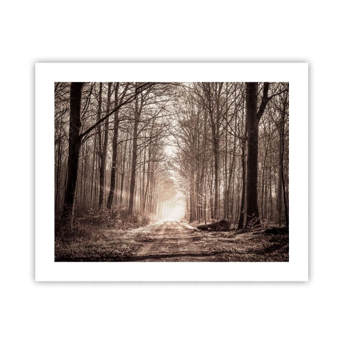 Plagát - Lesná katedrála - 50x40 cm