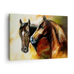 Obraz na plátne - Pár koní v obrazovej kompozícii - 70x50cm - Dvakrát viac pôvabu - Moderná nástenná dekorácia do obývacej izby a spálne ARTTOR