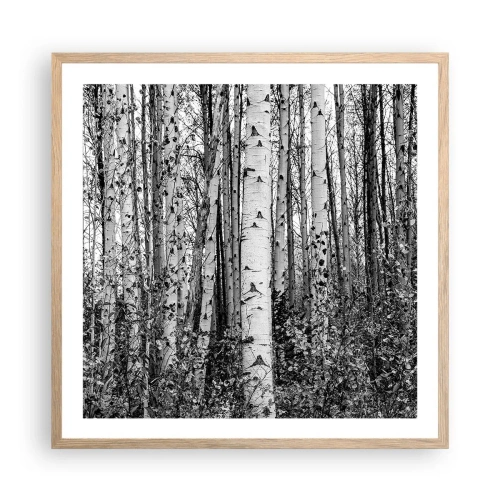 Plagát v ráme zo svetlého duba - Brezová kolonáda - 60x60 cm