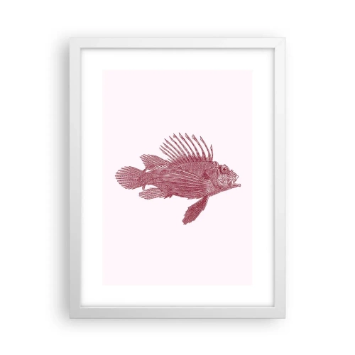 Plagát v bielom ráme - Obyvateľka exotických vôd - 30x40 cm