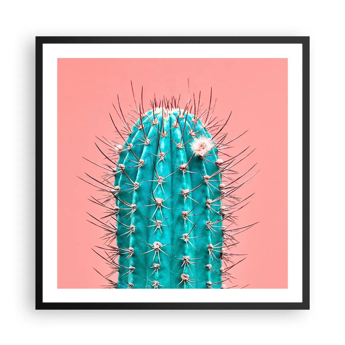 Plagát v čiernom ráme - Len pozeraj - 60x60 cm