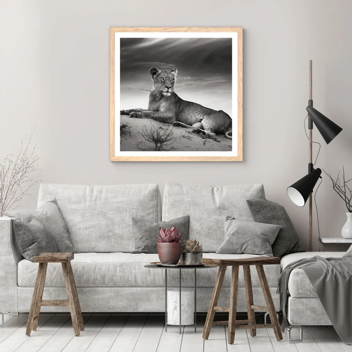 Plagát v ráme zo svetlého duba - Odpočinok kráľovnej púšte - 50x50 cm