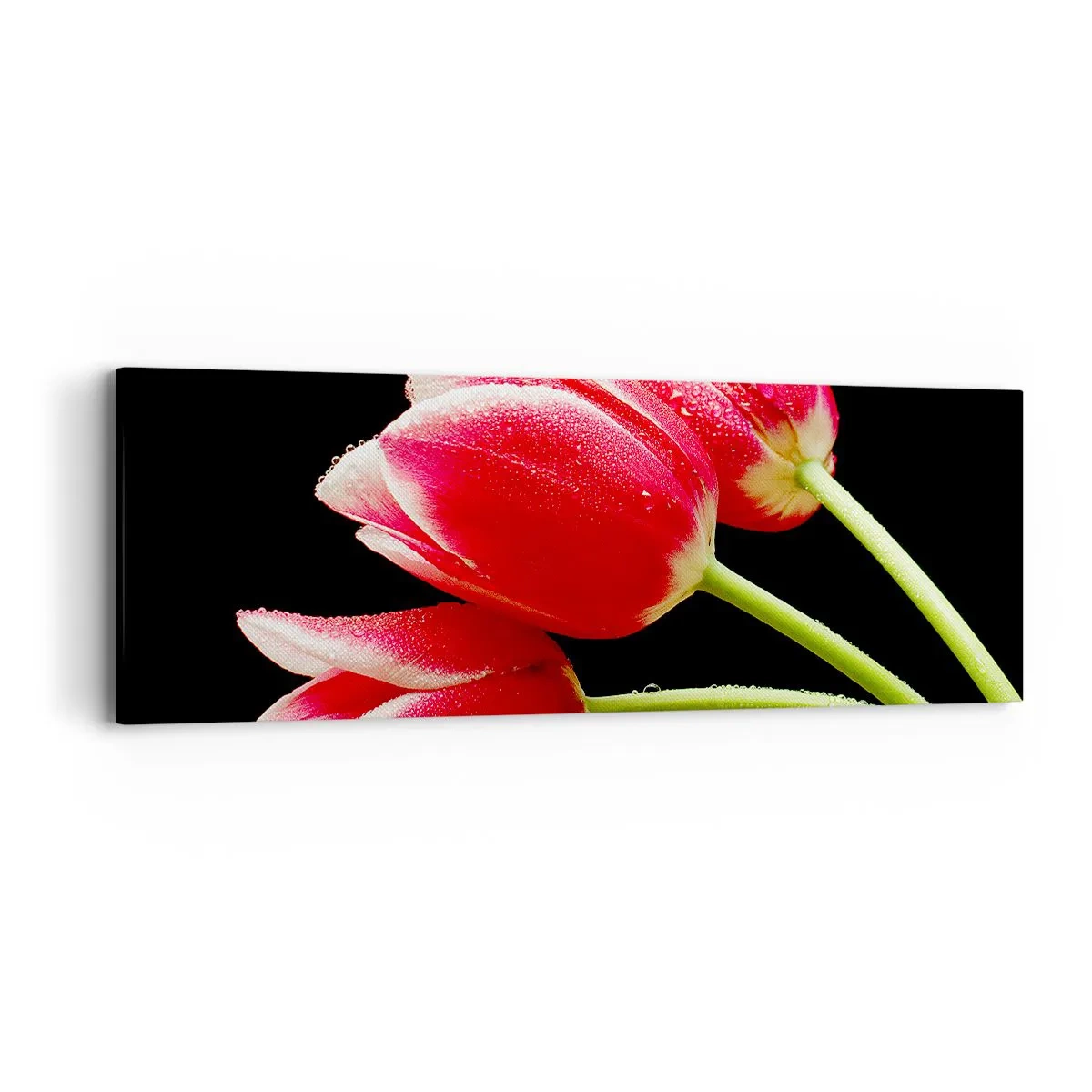 Obraz na plátne - Sľub čistej lásky - 90x30 cm