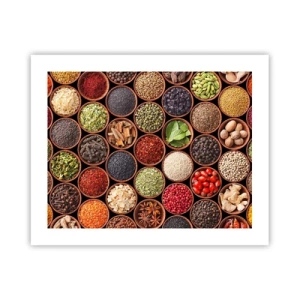 Plagát - Všetky chute sveta - 50x40 cm