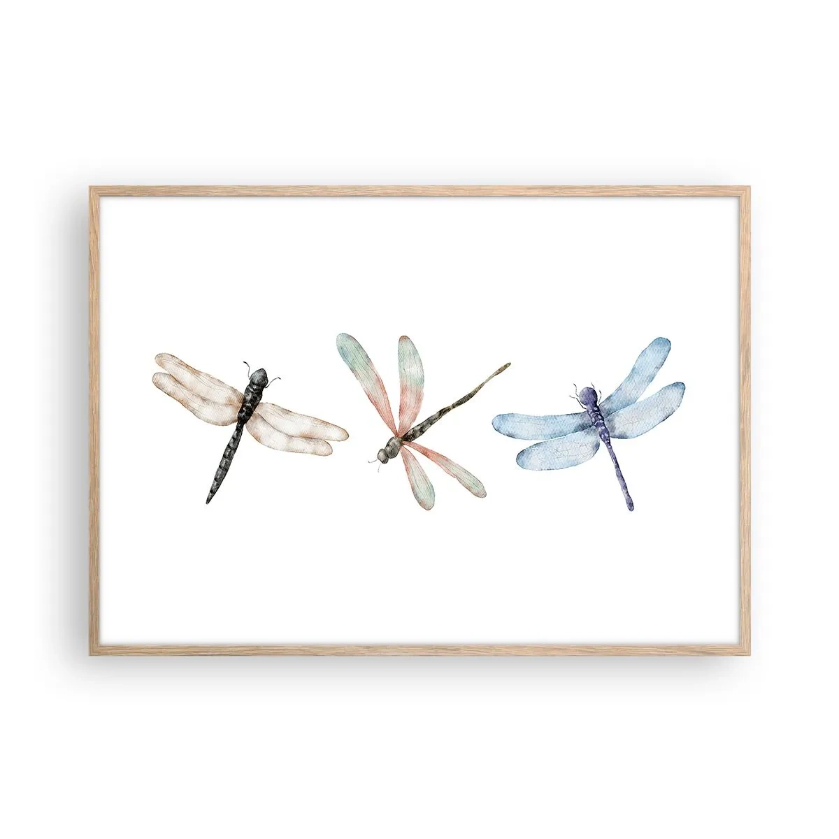 Plagát v ráme zo svetlého duba - Beztiažové vážky - 100x70 cm