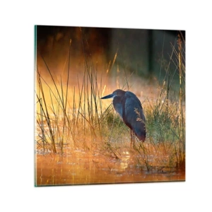 Obraz na skle - Ušetrite ma tých fotiek - 70x70 cm