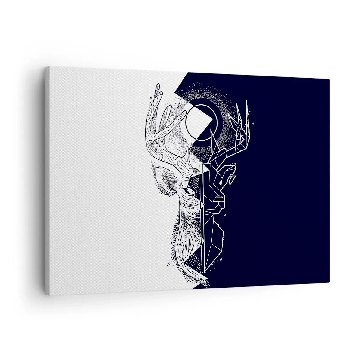 Obraz na plátne - Geometria a príroda v symbolickej kompozícii - 70x50cm - Boj a jednota opakov - Moderná nástenná dekorácia do obývacej izby a spálne ARTTOR
