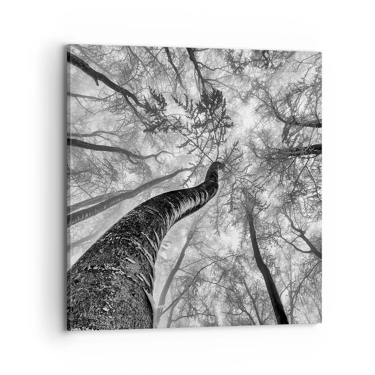 Obraz na plátne - Závod ku svetlu - 70x70 cm