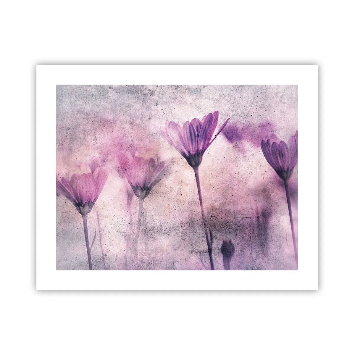 Plagát - Sen kvetov - 50x40 cm