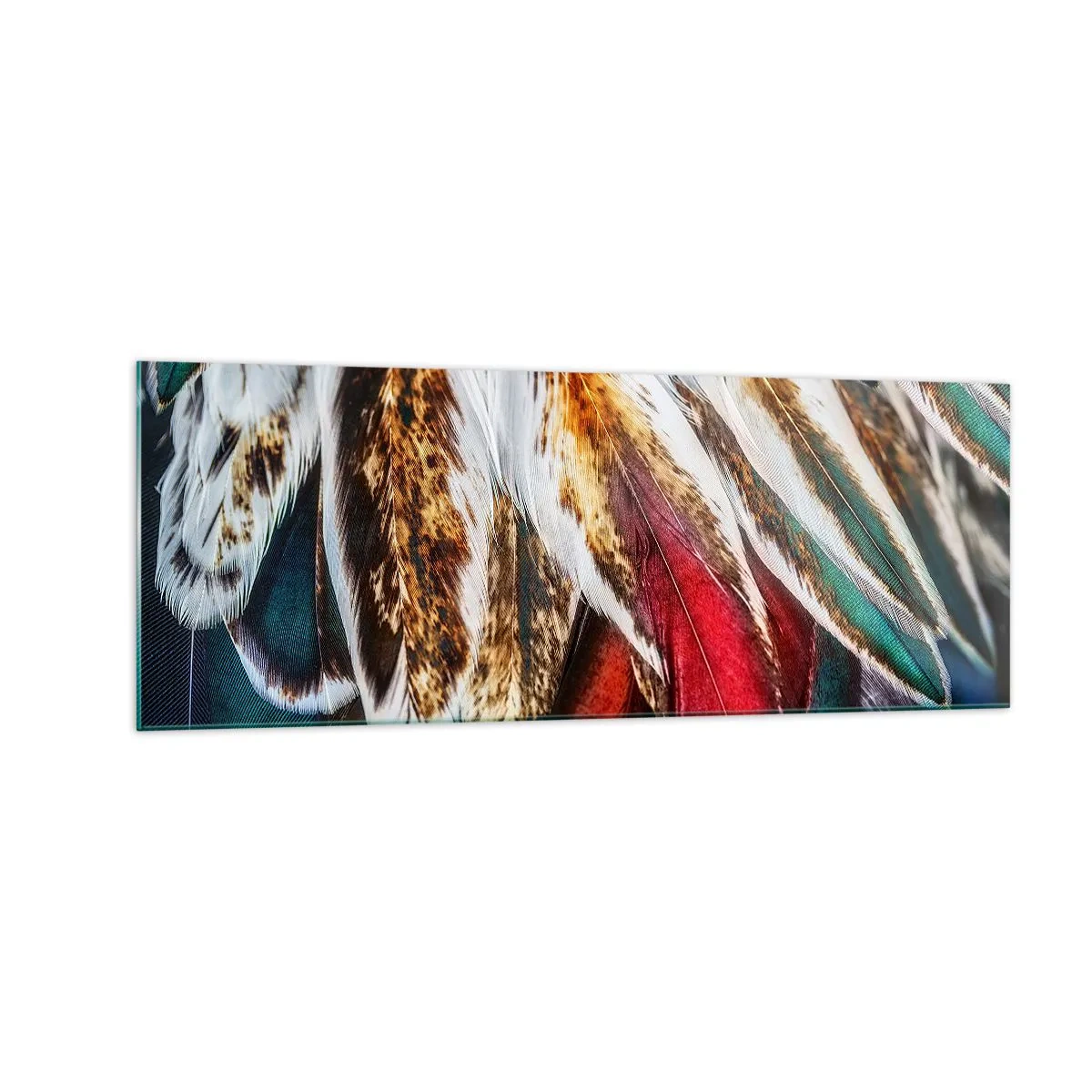 Obraz na skle - Tajomstvo letu - 140x50 cm