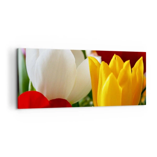 Obraz na plátne - Tulipánová horúčka - 100x40 cm