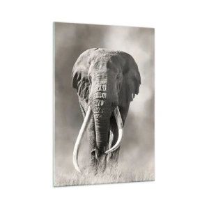 Obraz na skle - Africký patriarcha - 70x100 cm