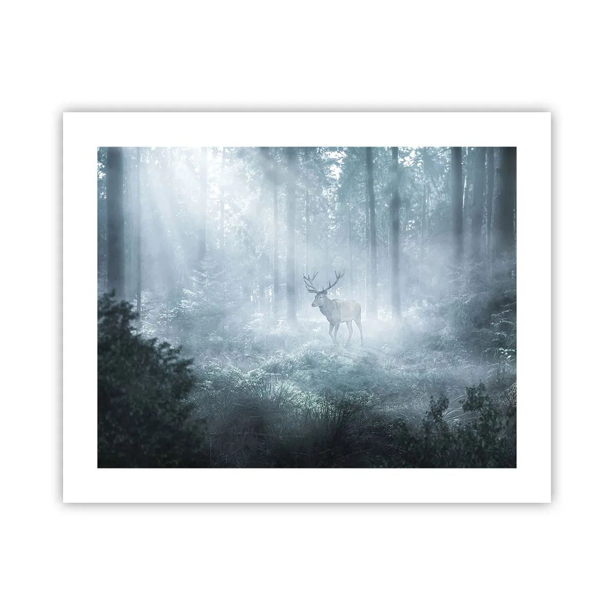 Plagát - Ranná obchôdzka sídliska - 50x40 cm