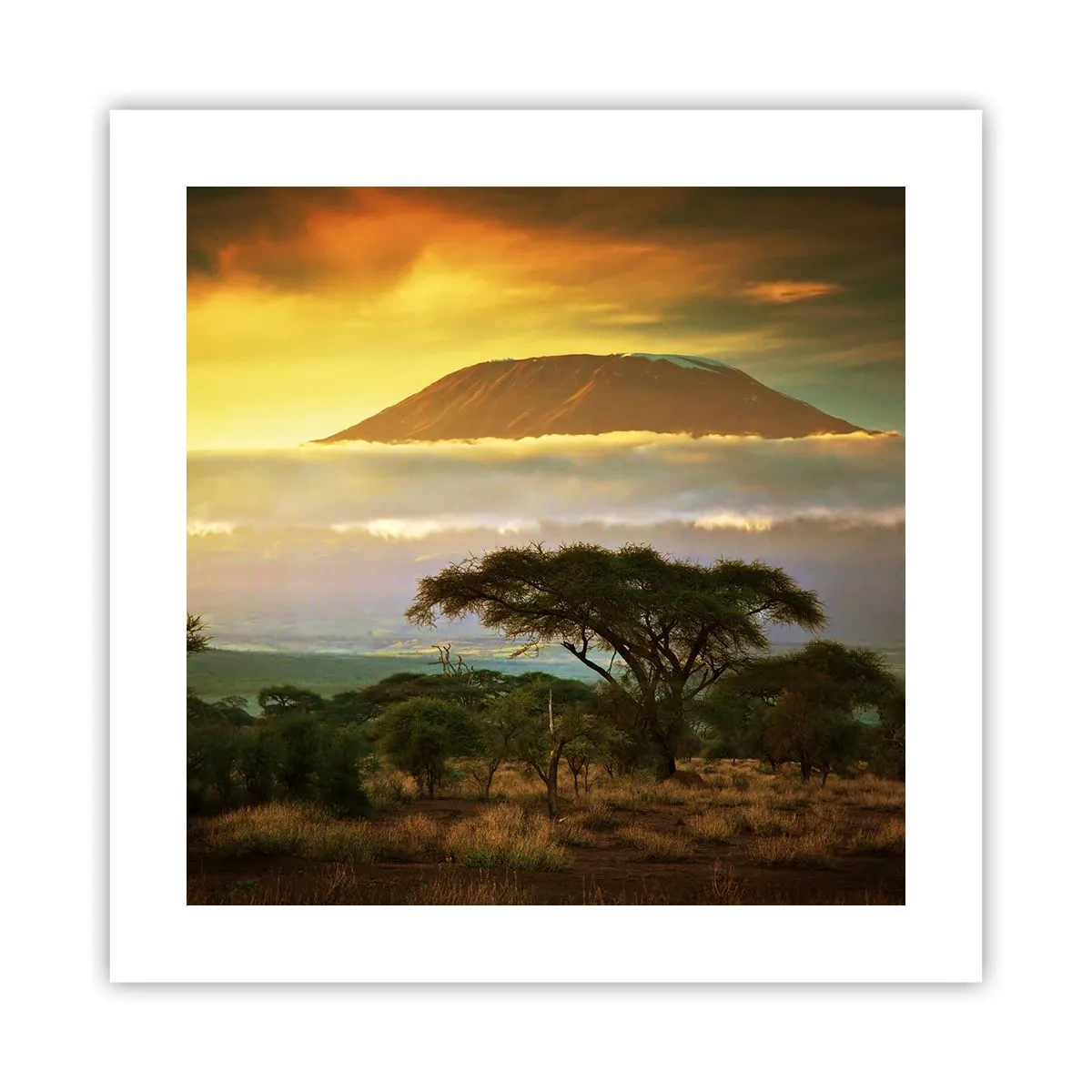 Plagát - Sen cestovateľa - 40x40 cm