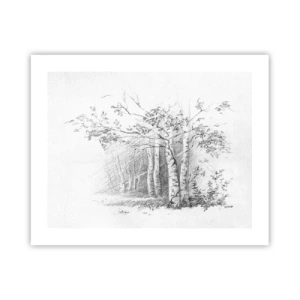 Plagát - Svetlo brezového lesa - 50x40 cm