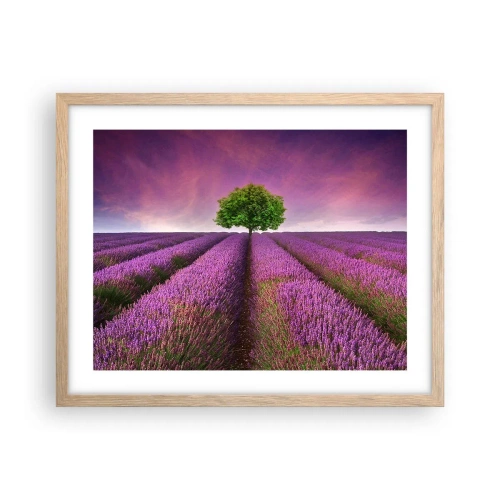 Plagát v ráme zo svetlého duba - Na levanduľových poliach - 50x40 cm