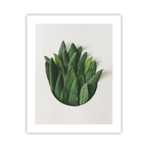 Plagát - Neukojiteľná zvedavosť - 40x50 cm