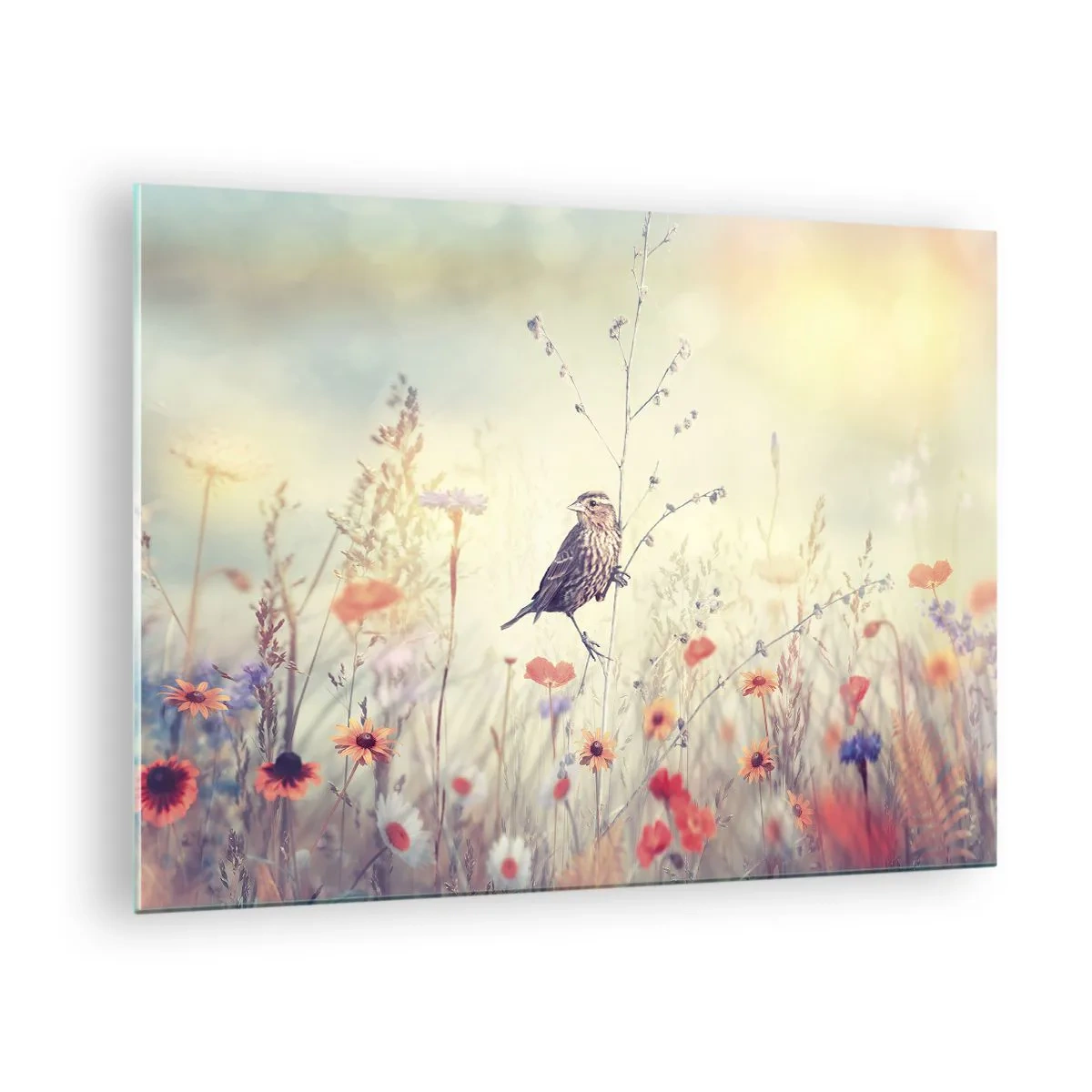 Obraz na skle - Vták na kvetnatej lúke na slnku - 70x50cm - Portrét vtáka s lúkou v pozadí - Moderná nástenná dekorácia do obývacej izby a spálne ARTTOR