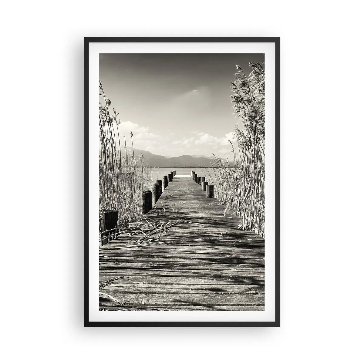 Plagát v čiernom ráme - V ústraní tráv - 61x91 cm