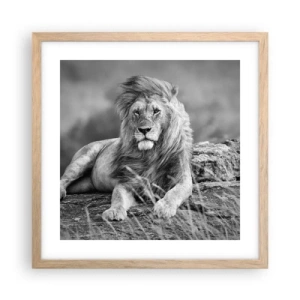 Plagát v ráme zo svetlého duba - Kráľovská siesta - 40x40 cm