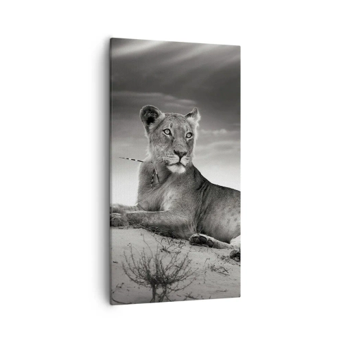 Obraz na plátne - Odpočinok kráľovnej púšte - 55x100 cm