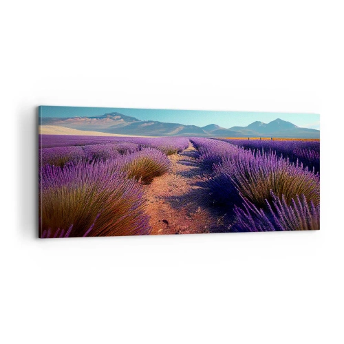 Obraz na plátne - Voňavé polia - 100x40 cm