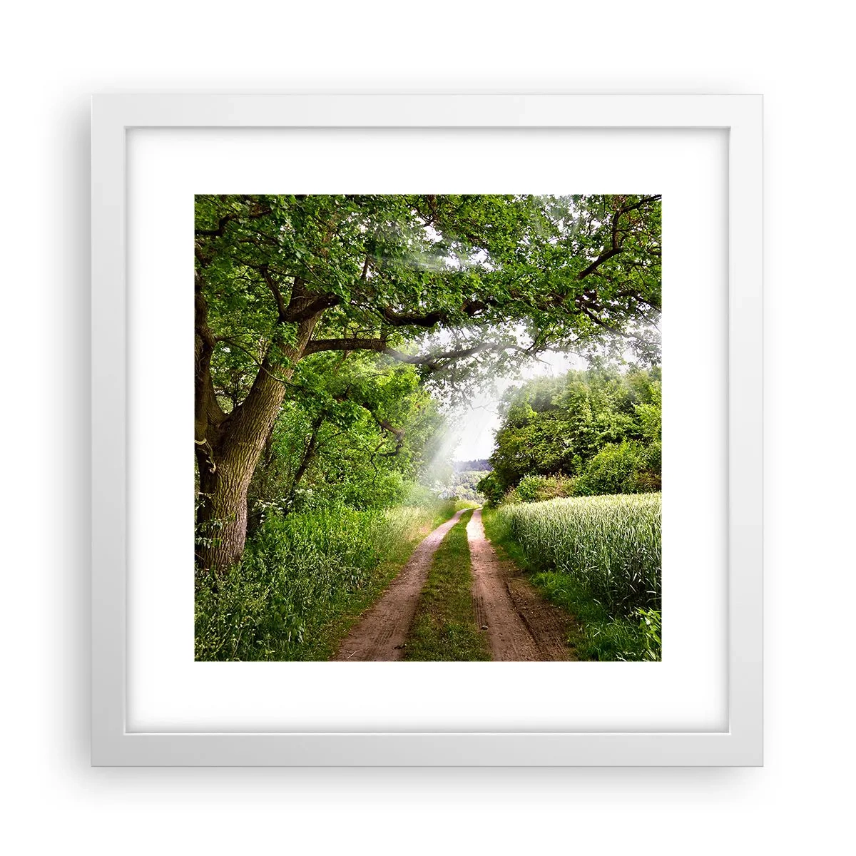 Plagát v bielom ráme - Et in Arcadia ego - 30x30 cm