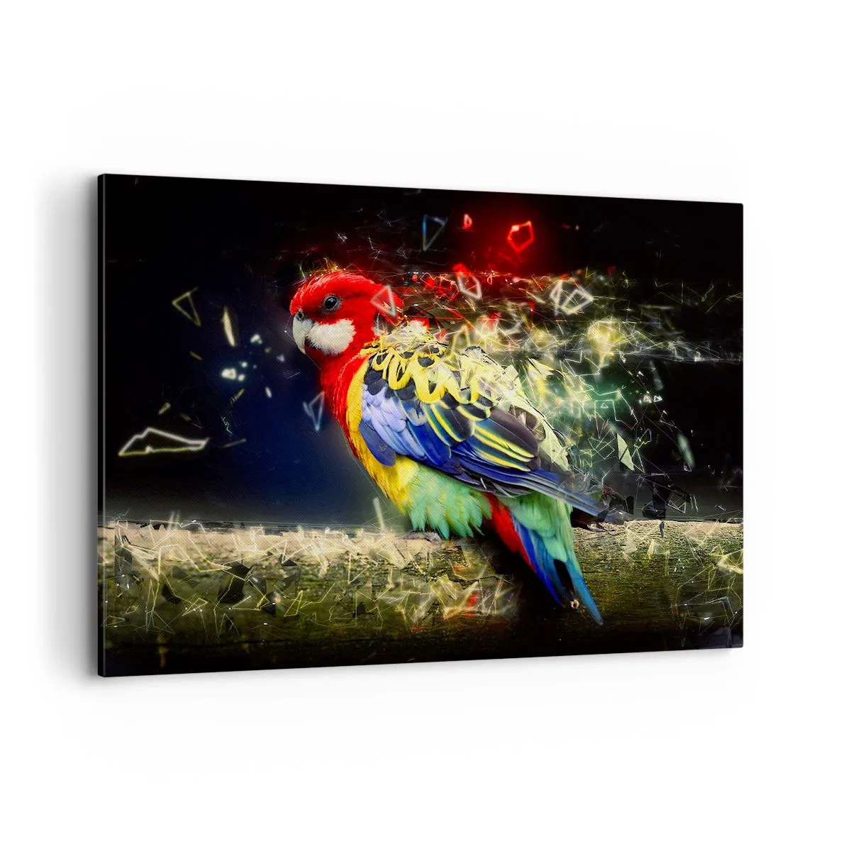 Obraz na plátne - Posol žiary - 120x80 cm