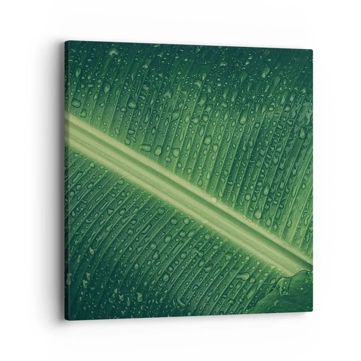 Obraz na plátne - Štruktúra zelenej - 40x40 cm